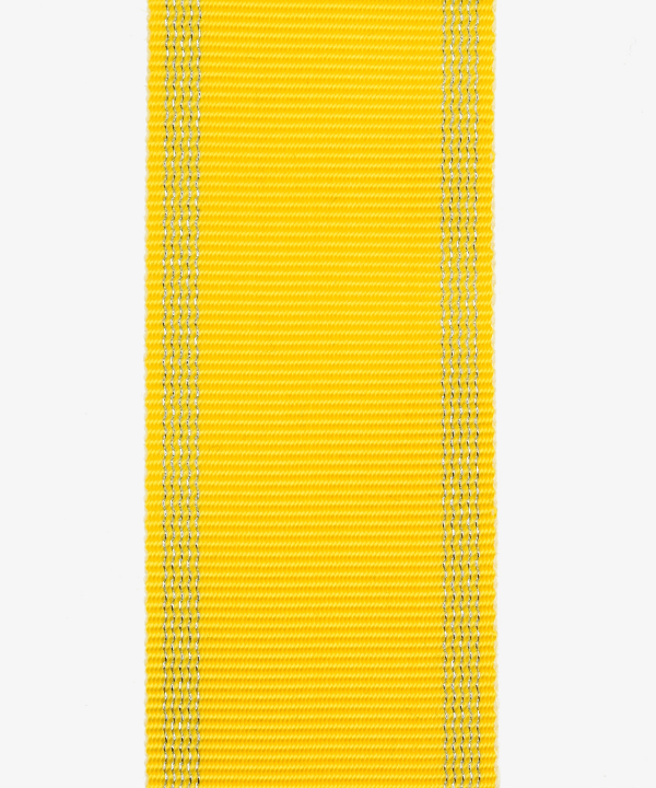 Baden, commemorative medal for 1849 (139)
